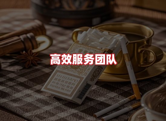 专业团队